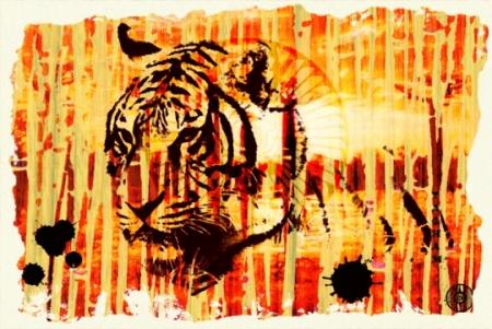 tigre