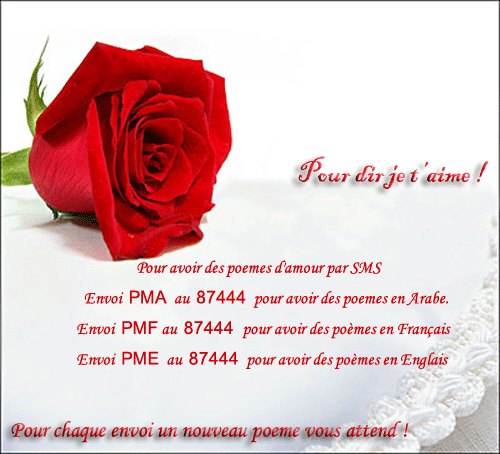 pour dir je t'aime par sms