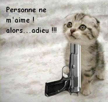 le chat en depretion nerveuse